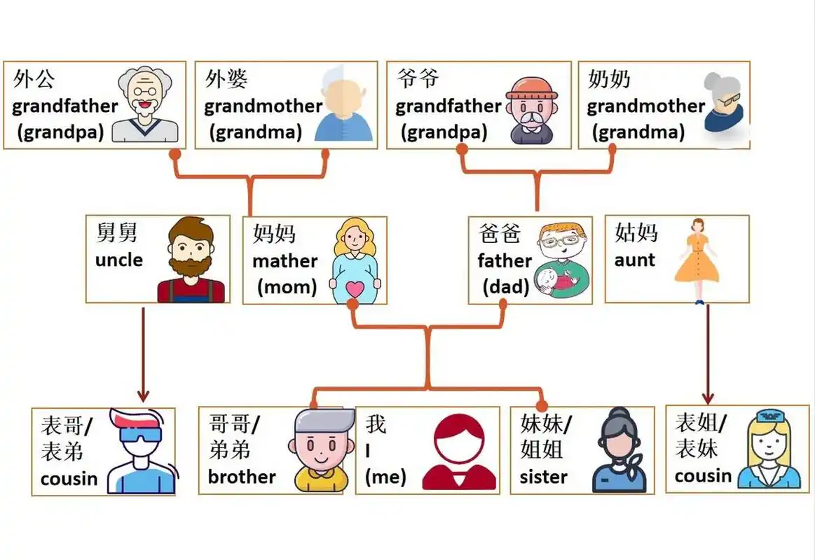 英语家庭称谓要比中文简单很多,英语里同辈同性的都是一个称呼,比如