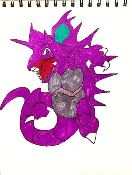 神奇宝贝尼多王