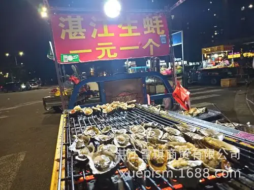 湛江生蚝厂家直销批发生蚝夜市街摆地摊碳烤生蚝牡蛎批发各规格
