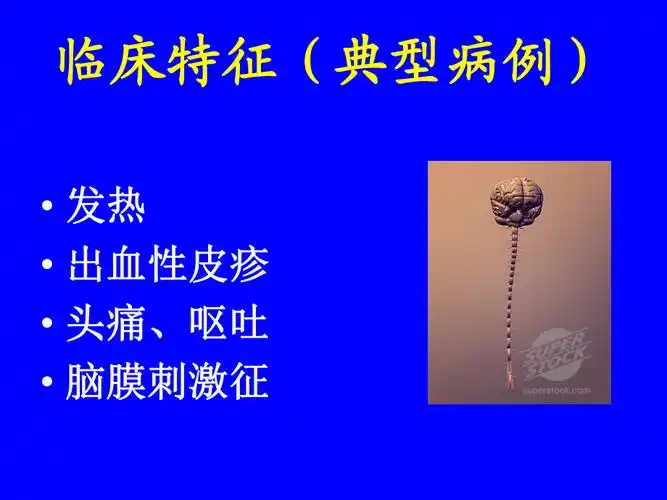 流行性脑脊髓膜炎.ppt_第3页