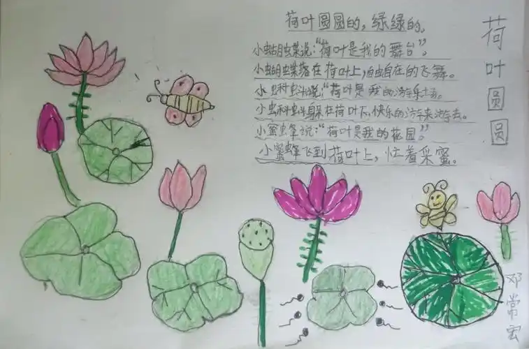 《荷叶圆圆》读写绘