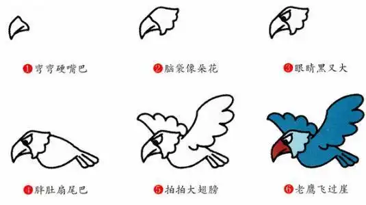 老鹰的简笔画儿童老鹰图片简笔画步骤 老鹰简笔画图片大全