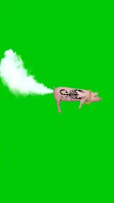 小猪放屁喷气飞行绿幕抠像后期特效视频