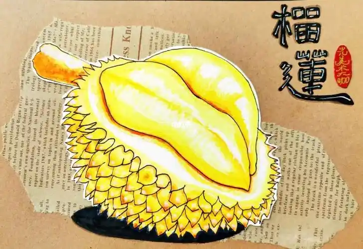 创意美术课程榴莲