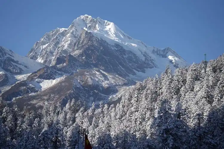 川西雪山和松树