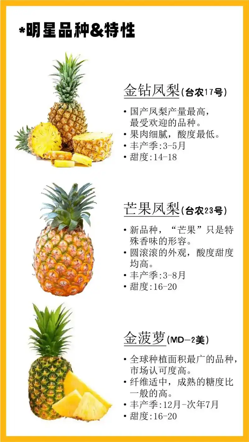 你知道排名前十的凤梨菠萝有哪些吗?