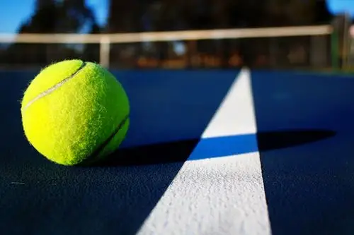 46张与网球有关的摄影照片