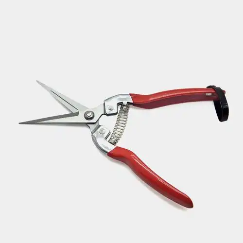 摘果剪刀树枝果树剪刀 修枝剪 采果剪 园艺园林剪刀厂家直供