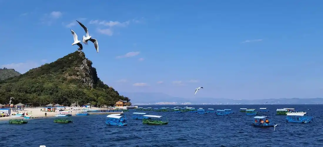 云南抚仙湖康养游之一