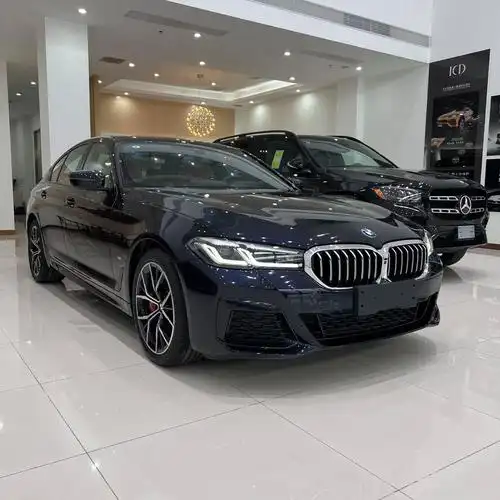 宝马530风尚碳黑干邑