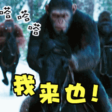 屁儿崛起来了表情包 - 屁儿崛起来了微信表情包 - 屁儿崛起来了qq表情