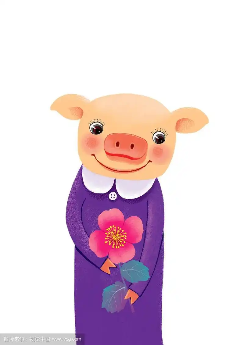 背景分离动物系列组图共3000多幅-捧着画的猪妈妈