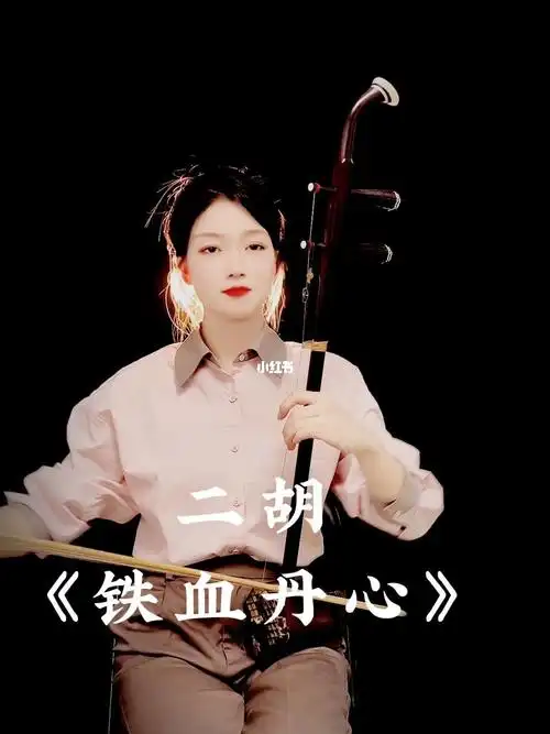 二胡版铁血丹心