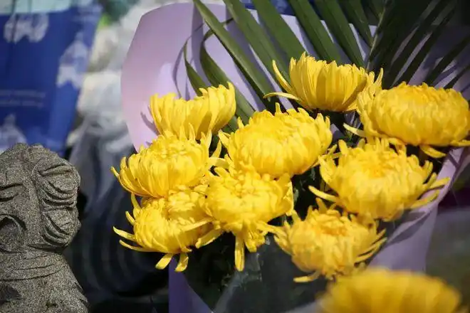 鲜花一束祭亲人文明祭祀入画来