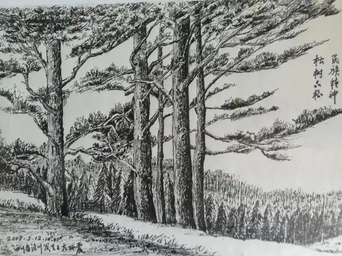 松树品格,民族精神——画于汶川大地震期间