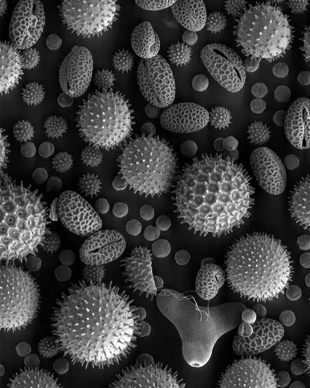 显微镜下 - 热门商品专区