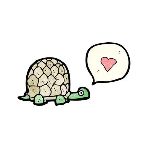 乌龟,向量,在白色背景上的卡通乌龟