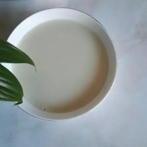 红枣黄豆浆,香滑好喝营养,早餐来一碗太棒了