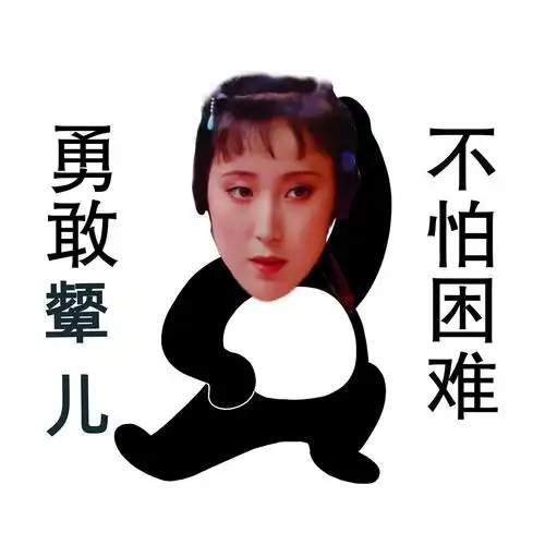 看红楼梦走火入魔的我