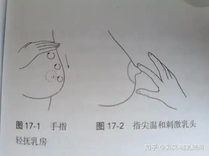哺乳期如何手挤奶
