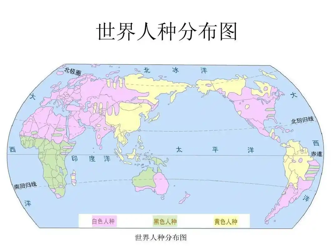 世界人种分布图ppt (共1页,当前第1页) 你可能喜欢 世界语言 三大人种