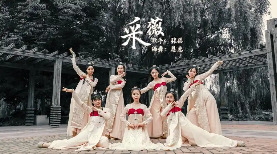 古典舞《采薇》,楚腰莲步