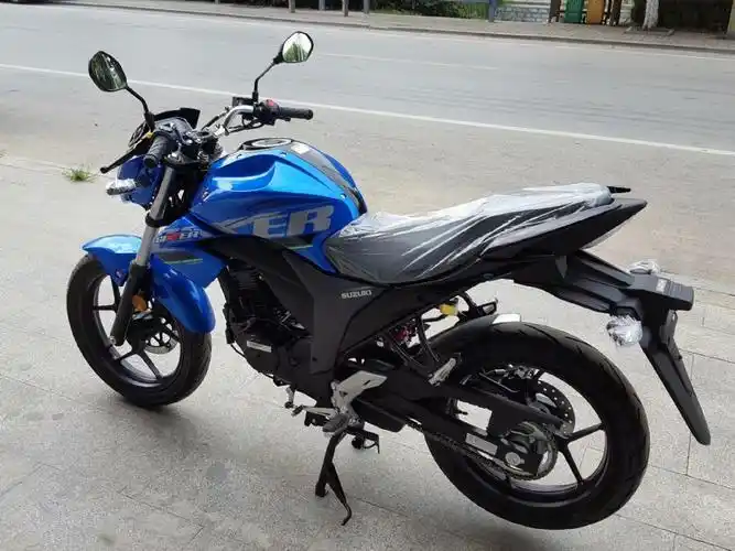 轻骑铃木极客飒155街车版