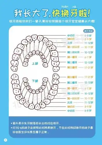 乳恒牙萌出及替换时间_儿童牙病_儿童牙病相关疾病 - 好大夫在线