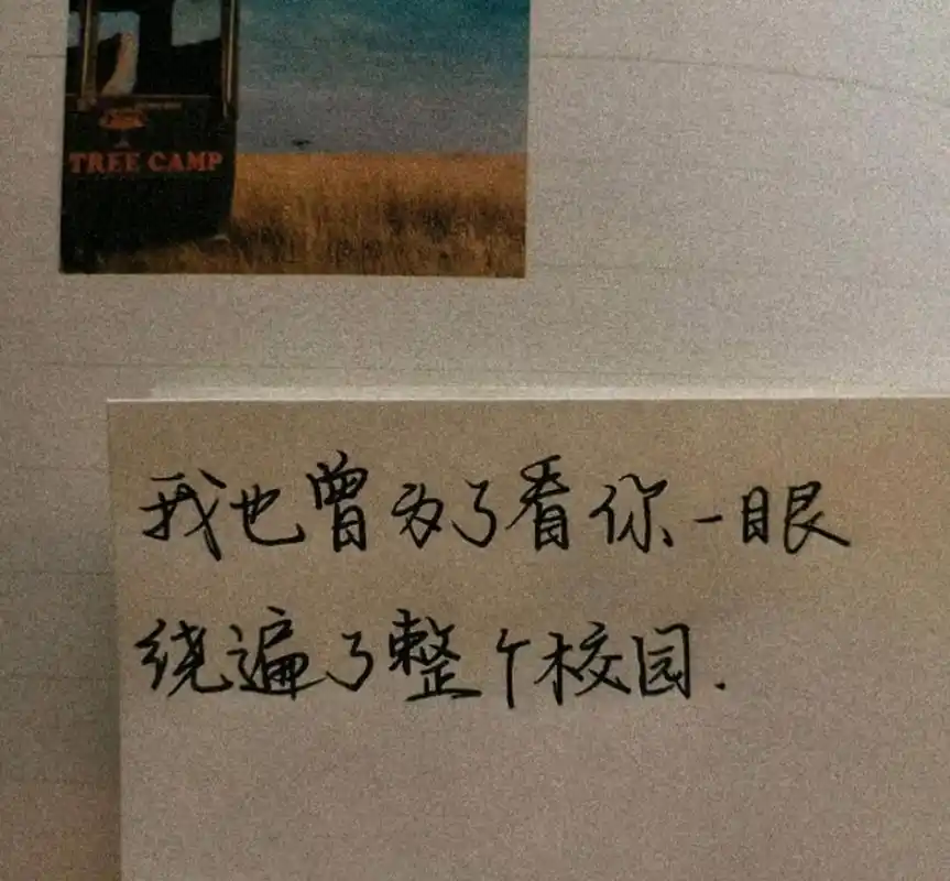 一些学生时代满是遗憾的暗恋文案
