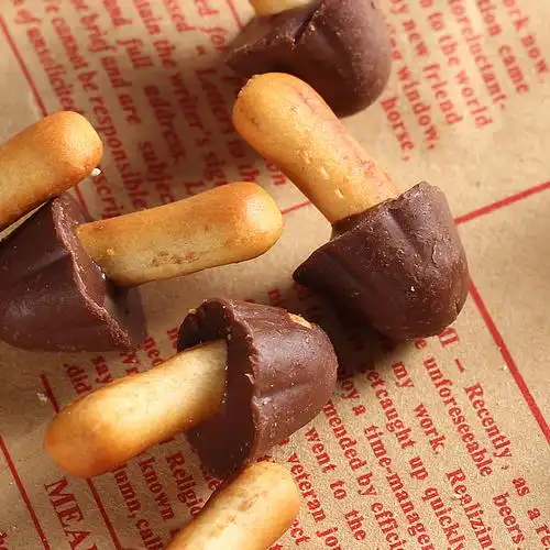 汪师傅蘑菇巧克力饼干215g 包邮 圣诞节蘑古力零食小吃蘑菇力c7