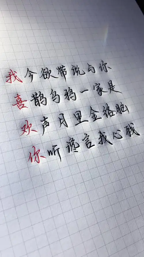 手写文字#表白成功是藏头诗,表白失败是藏尾诗