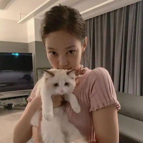 兔牙双马尾. 金智妮可二改. 看简介.