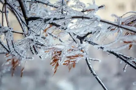冰雨摄影图-冰雨图片大全-冰雨照片-摄图新视界
