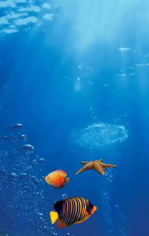 高清壁纸奇妙的海底世界