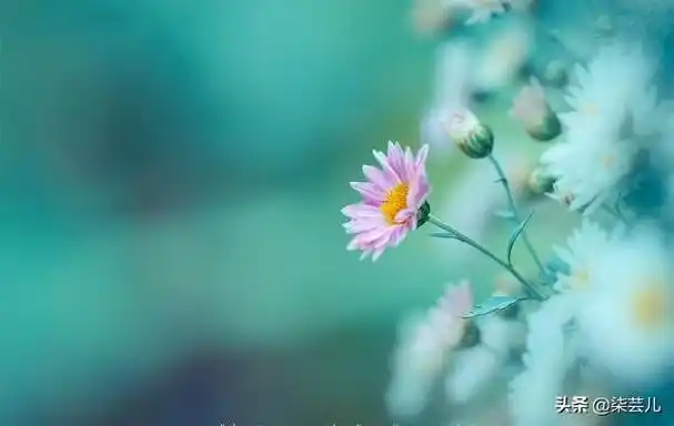 再婚生活10天就离婚56岁女人老伴觉得是义务我觉得太折腾了