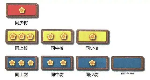 从抗战爆发到国民党退出大陆,国军军衔标志都有哪些变化