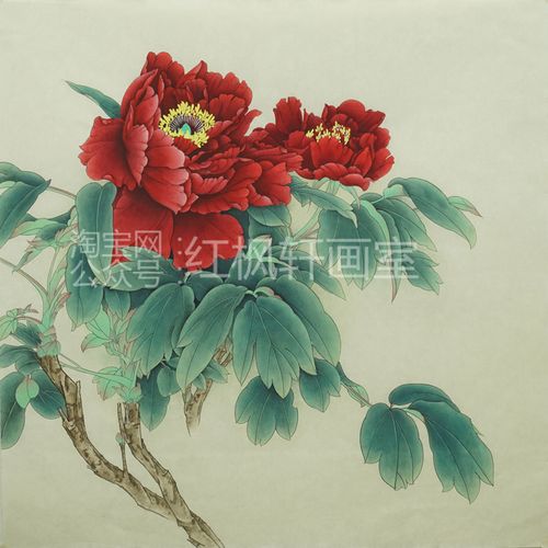 国画牡丹工笔画白描底稿带上色步骤手绘教程小学生临摹画素材推荐