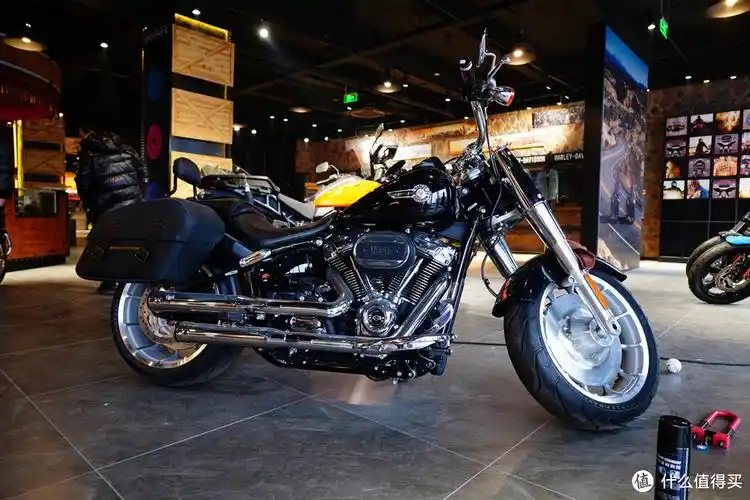 那些年那些骑过的车篇五哈雷戴维森路威slowriders117提车及简单用车