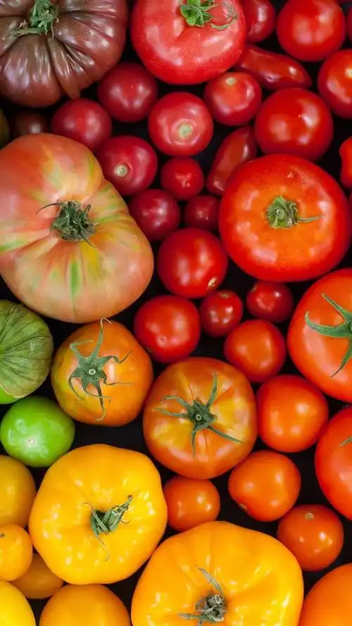 iphone 壁纸 西红柿,多色
