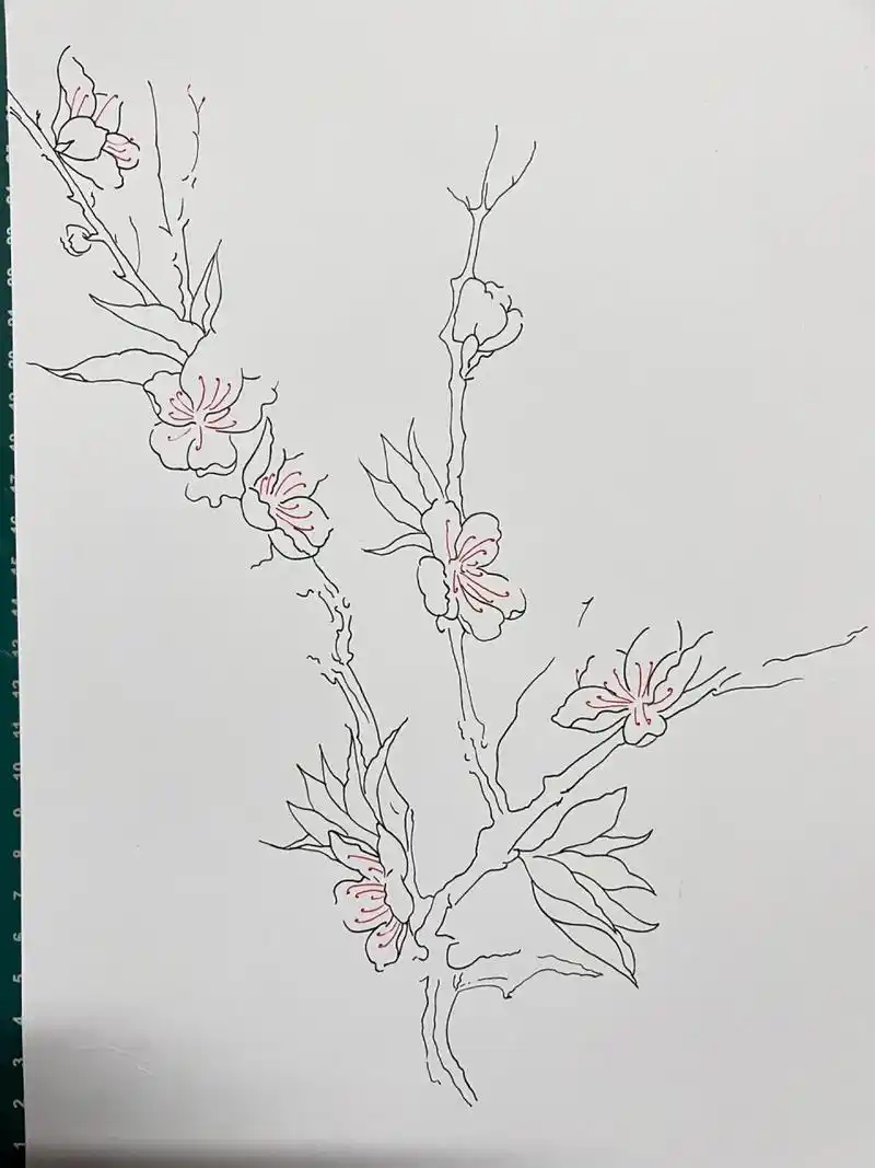 马克笔手绘 梅花 附步骤图 马克笔手绘 梅花 零基础绘画