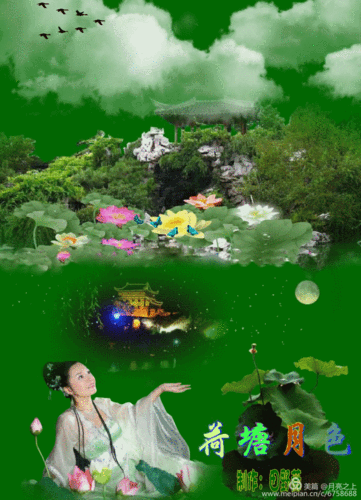 荷塘月色,满池清韵