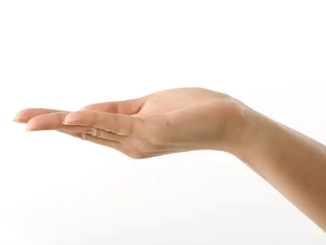 有没有这样单手像在托起什么东西一样的图片