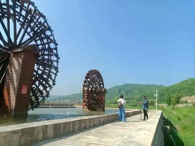 又是一年插秧节