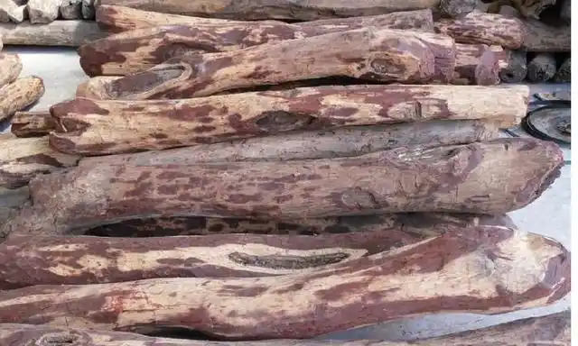 草花梨木是什么木材