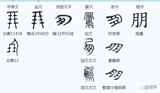 藏甲《说文解字》2:朋