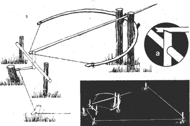 荒野求生手册——陷阱篇