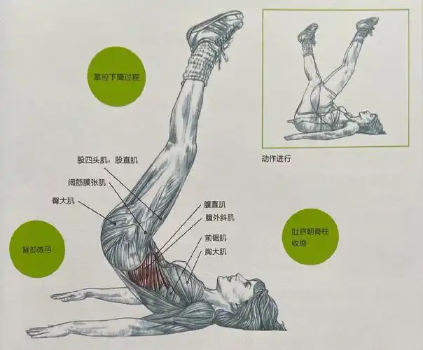 增强腹部肌肉骨盆上抬