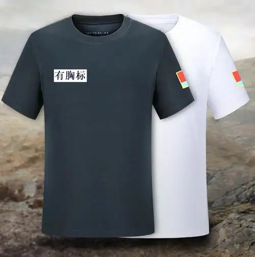 体能服空军训练服飞行员速干t恤男士户外夏季宽松短袖上衣空圆领衫