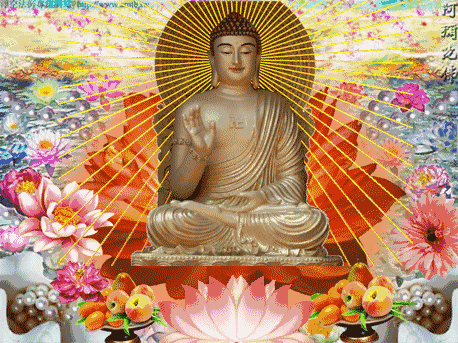 458_343gif 动态图 动图