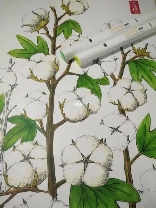 马克笔手绘棉花原创装饰画